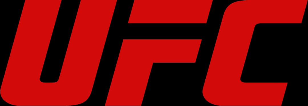 UFC fantasy fight